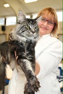 21743317_10155051836315914_6783486518397763429_n