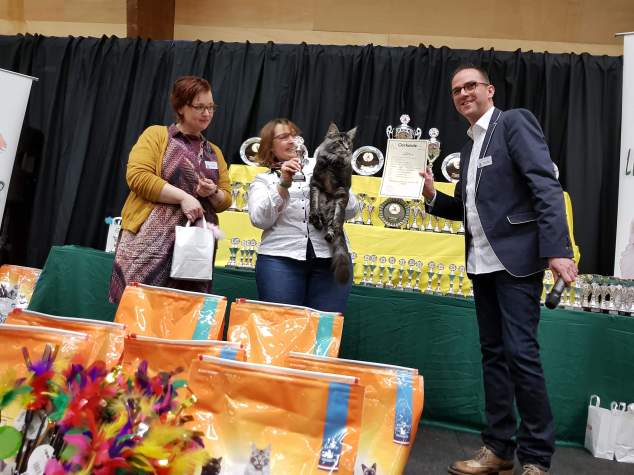 received_207757266660585