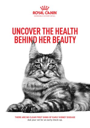 royal-canin_848x1200