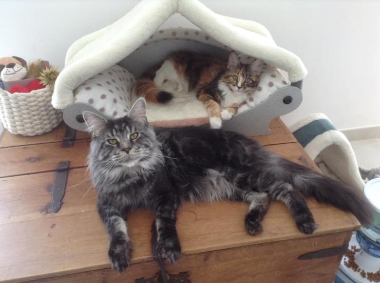 33092160_10155638934040914_822020898952314880_n