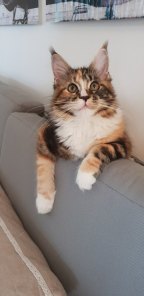 33181627_10213932586583292_2628078346549854208_n