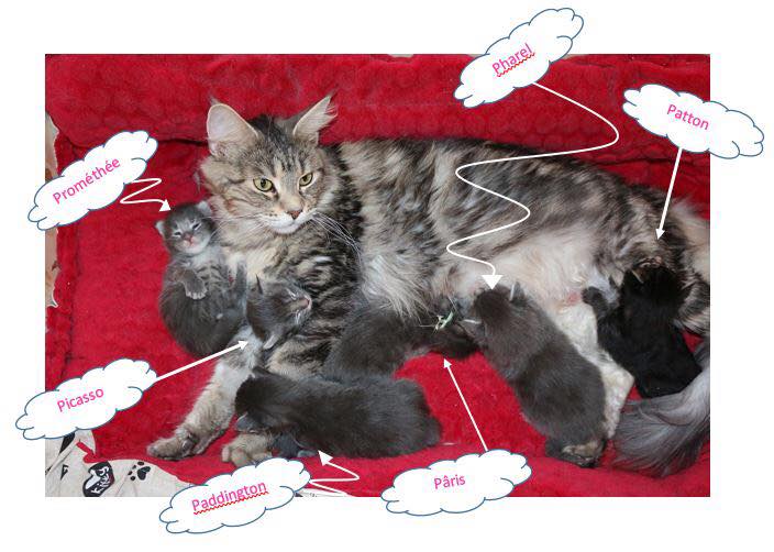 51038279_10215733342201057_2409619958934798336_n