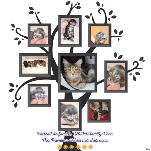 b08f48cc650426d615eb8f7af5b146f9