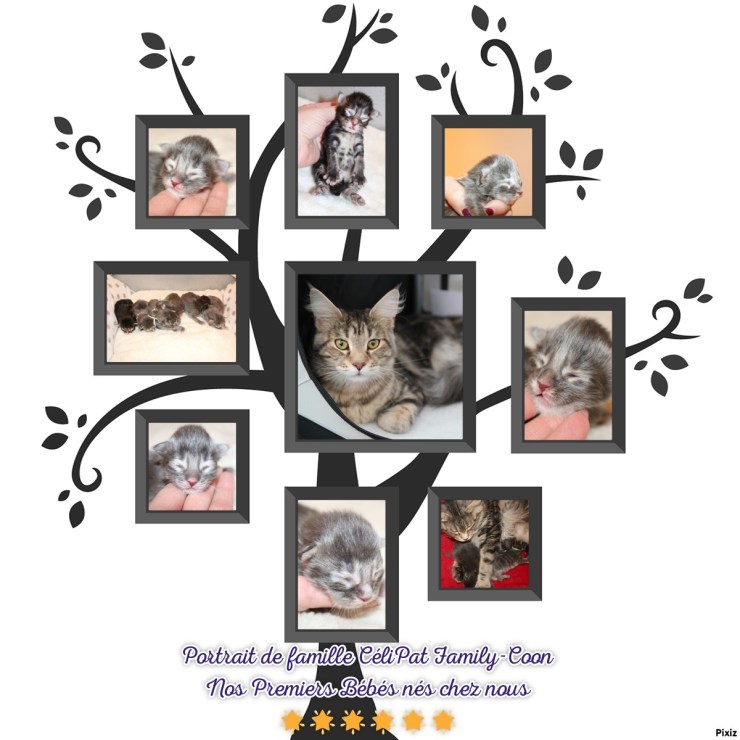 b08f48cc650426d615eb8f7af5b146f9