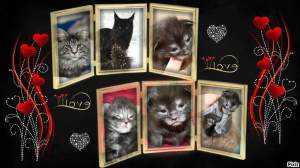 FB_IMG_1553012344340